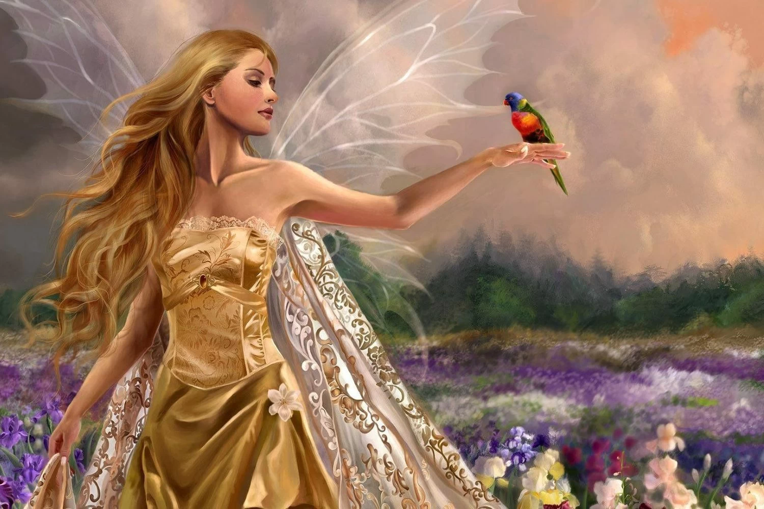 images иконка розыгрыша