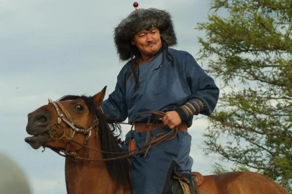 Доставка конины